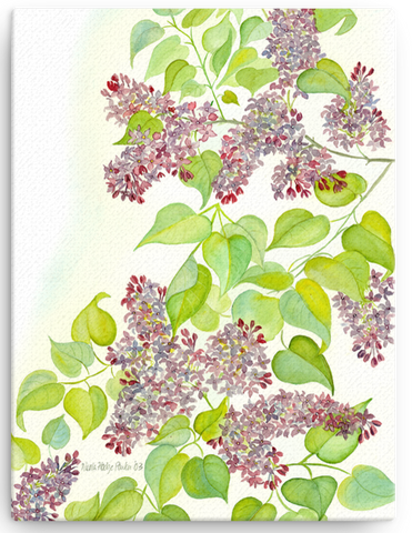 Lilac Blossom Print on Canvas - several sizes