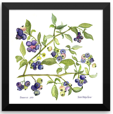Blueberry Print Framed