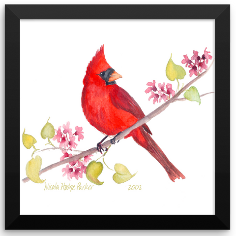 Cardinal Print Framed