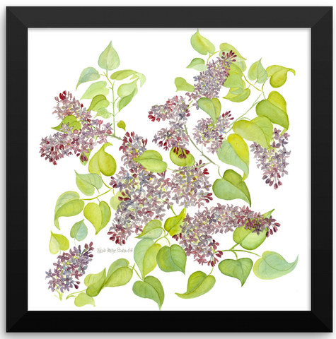 Lilac Blossom Print Framed