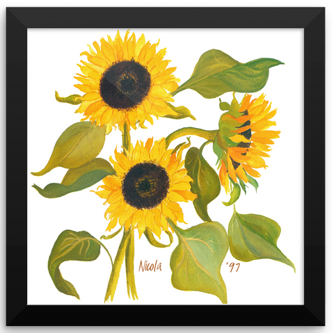 Sunflower Print Framed